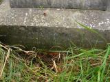 image of grave number 45936
